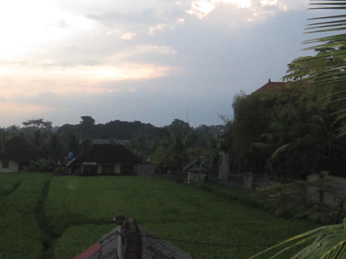 Purnama Di Bisma Hotel Ubud  Exterior photo