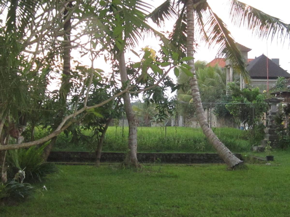 Purnama Di Bisma Hotel Ubud  Exterior photo